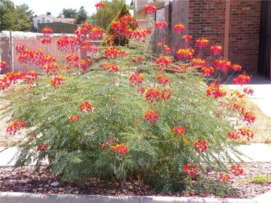 3318 Cornwall Rd, El Paso, TX 79925 - photo 7