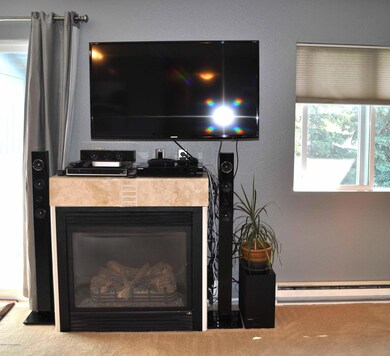 gas fireplace
