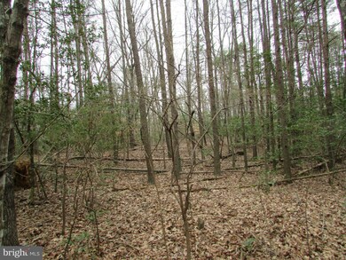 Lot 10 Settlers Ln, Washington, VA 22520 - photo 4
