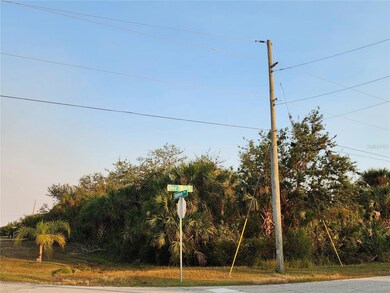 13369 Appleton Blvd, South Gulf Cove, FL 33981 - photo 6