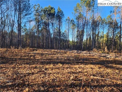 0 Bowles Farm Rd, Statesville, NC 28625 - photo 7