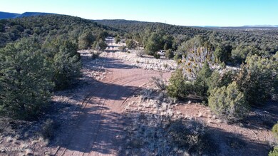 51824 N Cordero Rd unit 3384, Seligman, AZ 86337 - photo 6