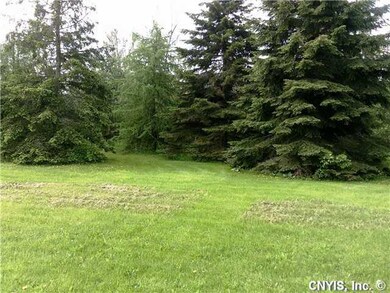 Yard/Garden. Plenty of room for outdoor fun.