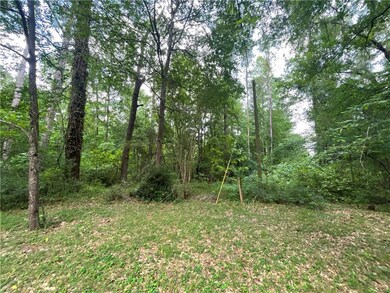 View of tree filled area