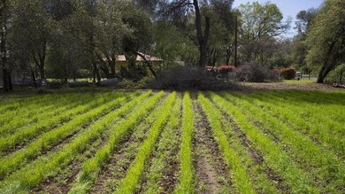 3121 Middleton Ln, Redding, CA 96002 - photo 6