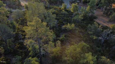DJI_0305