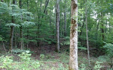 Additional View