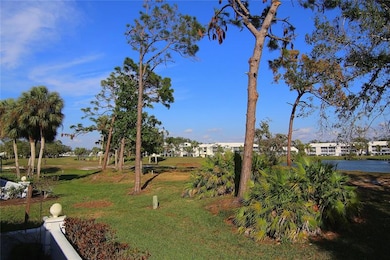Back View