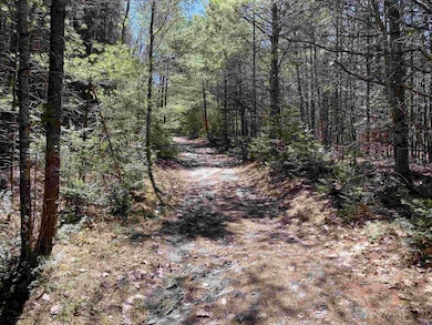 0 Mace Rd, Newbury, VT 05081 - photo 2