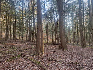 0 Thorpe Hill Rd, Masonville, NY 13838 - photo 6