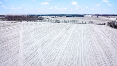 DJI_0442
