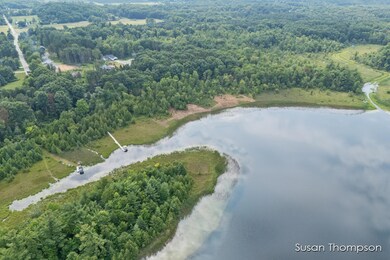 17163 Spruce Cove Trail unit 13, Spencer Township, MI 49326 - photo 4