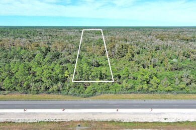 Alligator Alley, Naples, FL 34117 - photo 3