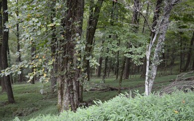 M 165 Walnut Ridge, Ellijay, GA 30540 - photo 2