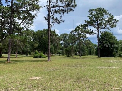 Front pasture as you drive to the house