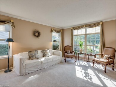 Living room with lots of windows