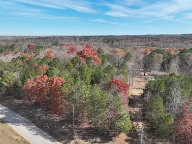 42 County Road 82, Fruithurst, AL 36262 - photo 5