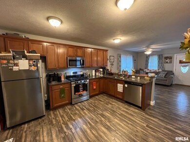 311 N Sherman St, Lincoln, IL 62656 - photo 7