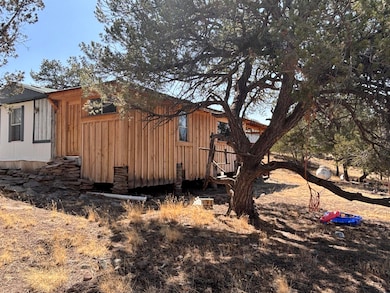 233 Turquoise Trail, Datil, NM 87821 - photo 4