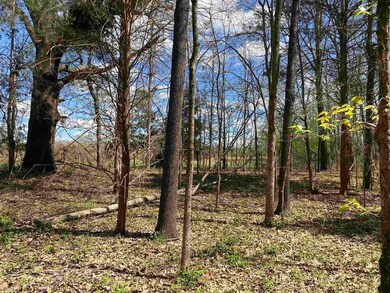 3845 Mebane Rd, Oakland, TN 38060 - photo 5