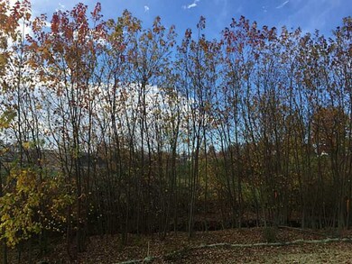 Land/Lot.