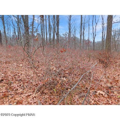 0 Chapman St, Jim Thorpe, PA 18229 - photo 6