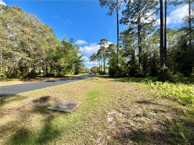 LOT 504 N Marsh Hen Rd NE, Townsend, GA 31331 - photo 7