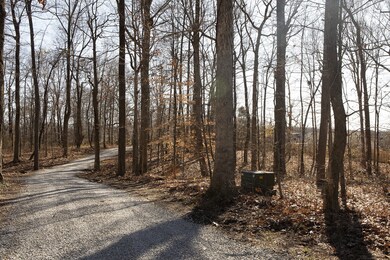 2096 Shawnee Ln, Greenbrier, TN 37073 - photo 2