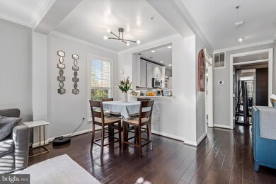 735 Massey Ln unit A, Alexandria, VA 22314 - photo 5