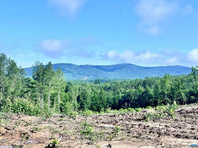 0 Hunting Lodge Rd unit 667063, Schuyler, VA 22969 - photo 3