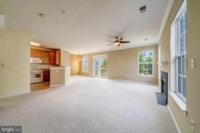 13024 Cabin Creek Rd unit 13024, Herndon, VA 20171 - photo 7