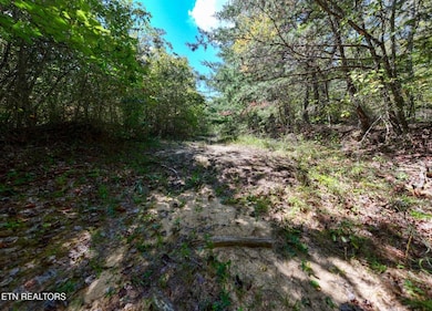 0 Tiffany Ln unit 239598, Jamestown, TN 38556 - photo 7