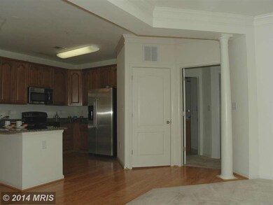 24701 Byrne Meadow Square unit 312, Aldie, VA 20105 - photo 6