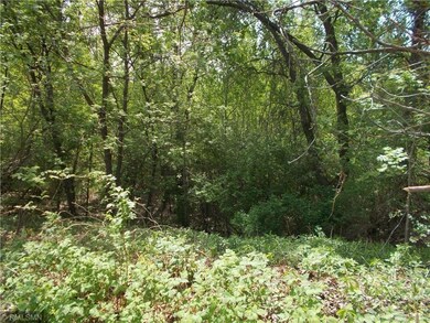 Lots 1-4 Tainter St, Menomonie, WI 54751 - photo 2