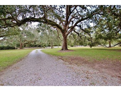 Photo. Private driveway leading to the charming so