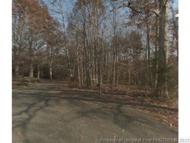 0 Cross School Rd unit 498929, Siler City, NC 27344 - photo 2