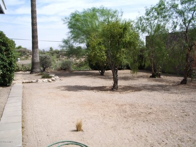 Large side yard with an array of trees
