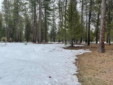 4XX Couples Ct, Chewelah, WA 99109 - photo 3