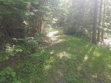 20190624_153032_resized