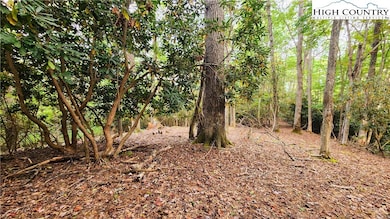 Lot 49 Abaco Dr, Vilas, NC 28692 - photo 4