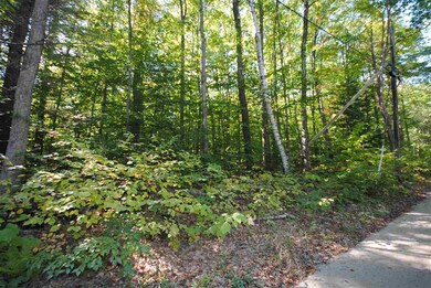 TBD Towle, Chichester, NH 03258 - photo 4