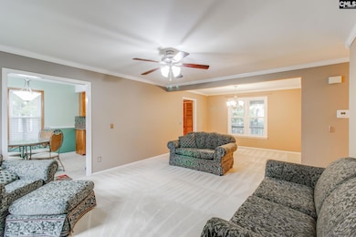 344 Cockspur Rd, Irmo, SC 29063 - photo 4