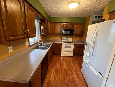 2336 W 49th St, Davenport, IA 52806 - photo 6