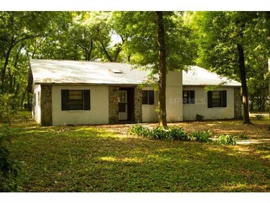 14311 N Wooten Rd, Dover, FL 33527 - photo 2