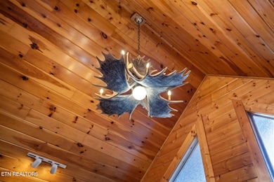 Moose Lighting