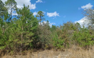 TBD Dig Ct, Fort White, FL 32038 - photo 2