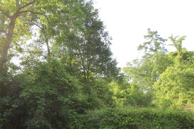 0 Bradbury Dr unit 78869892, Hockley, TX 77447 - photo 2