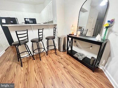 12911 Alton Square unit 102, Herndon, VA 20170 - photo 2