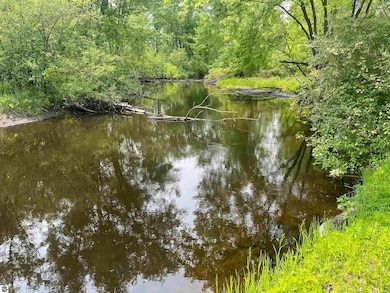 20213 30th Ave, Barryton, MI 49305 - photo 5