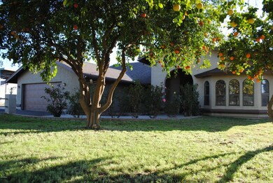 Front yard